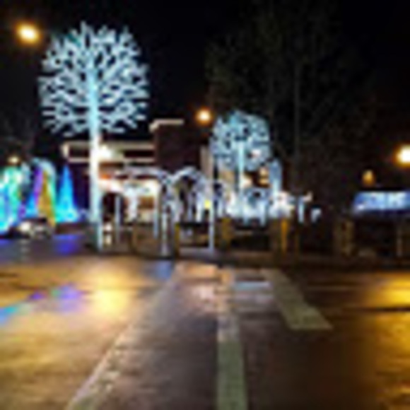 Meet your Posher, Robert - Picture 1 of 1